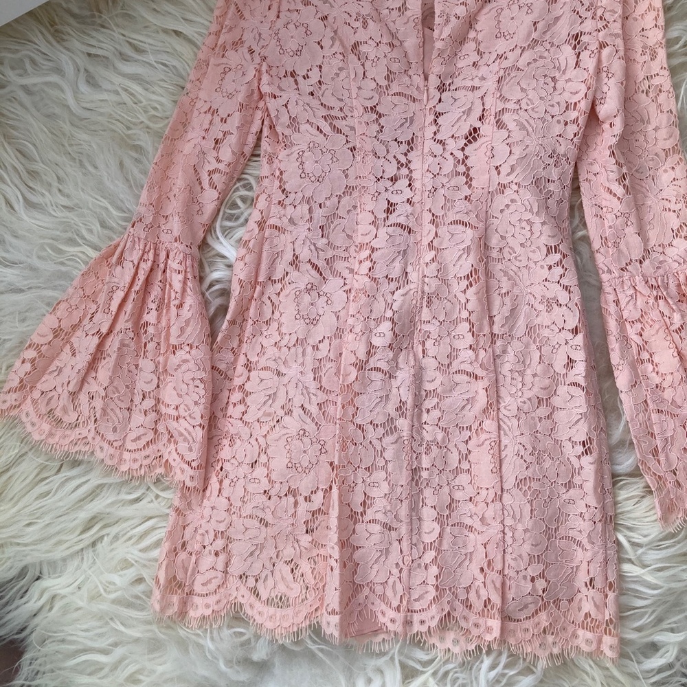 RACHEL ZOE Lace Pattern Mini Dress - Picture 12 of 15